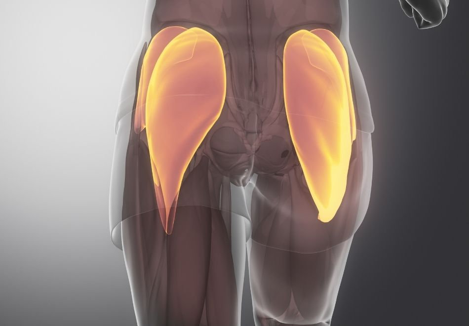 Gluteus Medius Tendon Yırtığı ve Ameliyatı